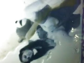 Pandagirl18