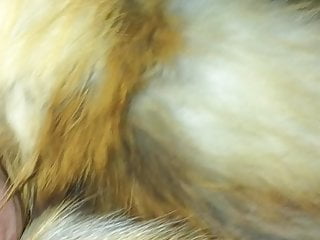 Cum on Red Fox Fur Coat