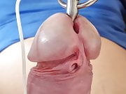 Some electrical urethral cock stimulation.