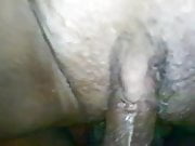 squirting and fucking