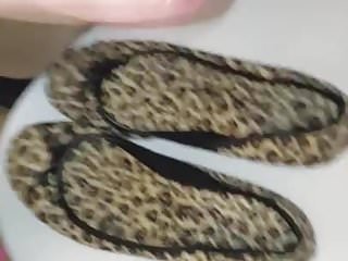 Neue Leo Ballerinas shoejob