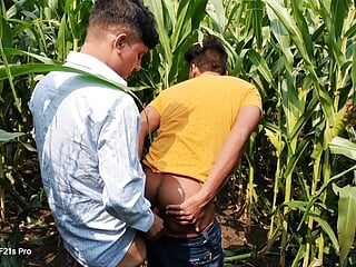 Indian Gay  – Today Collage Boy & College Teacher I saw a corn field  side of the forest, so I enjoyed going to the corn field.