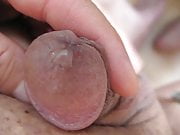 Close up Penis