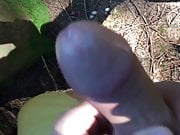 Cum in the woods