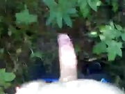 Jerking, moaning and shooting cum in the forest