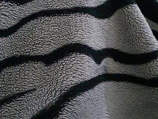  video: Muslim girl caught sucking dick on camera by roommate