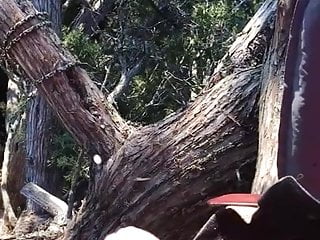 Deer hunting in a Cedar tree