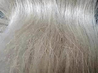 Meister - T -  Lange Haare einer Fee - Bild 2