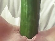 Wife fucks cucumber 