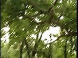 Beim heutigen Casting im Wald darf Steffi 2 Schwaenze lutschen