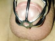 My cuck In chastity