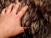 my fur fetish
