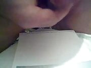 Tribute 7