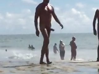 Cock At The Beach