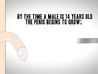 Small documentary on Penis by big penis