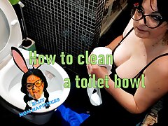  How to clean a toilet bowl