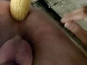 Corn on the cob introduced, Maiskolben eingefuehrt