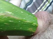 Fuck the cucumber