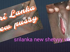 Sri Lankan Shetyyy Dark-hued Lush Honeypot Was