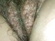 dreaming hairy pussy of my wife