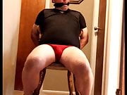 Bear tied to chair and made to cum