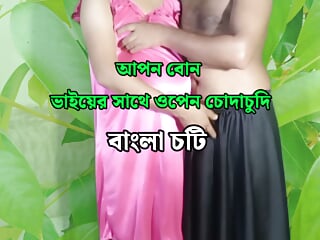 Sundari Young StepSister Gets Pregnant By StepBrother Sex - Bengali Romantic Audio