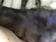 Rubbing fur on cock