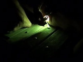 LED torch insertion
