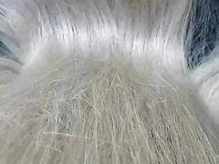 Meister - T -  Lange Haare einer Fee - Bild 8