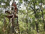 Jerk off from high seat - nude in the woods - quick cum
