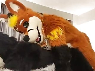 Play Fursuit With Friend