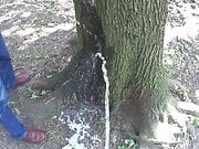 Two friends pissing together on a tree 