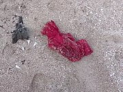 red dress 1 kicked at the beach