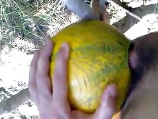 Outdoor melon...