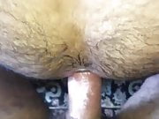 HAIRY ASS BREEDING