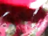 anal,ass licking,ballbusting