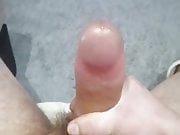 sperm