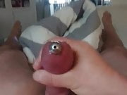Cumming with cock plug in urethra and penis plug 