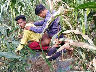 Indian Desi Movies – A laborer working in a corn field fucked his partner's ass – Hindi Voice