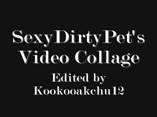 Sexydirtyslut Video Collage With Hollyjully Teaser!