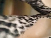 fucking leopard heels