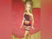 Barbie Doll pics 2