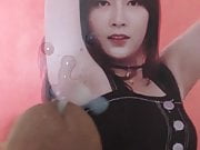 apink cum tribute cum on hayoung armpit 3 times 