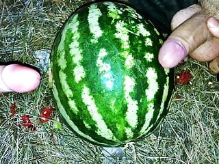 Fucking A Watermelon With A Dildo In The Forest