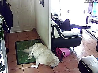 .Hidden camera masturbation.