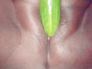 Veenax82 women got her pussy Fucking with cucumber  today