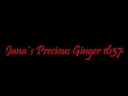 Precious Ginger 1637