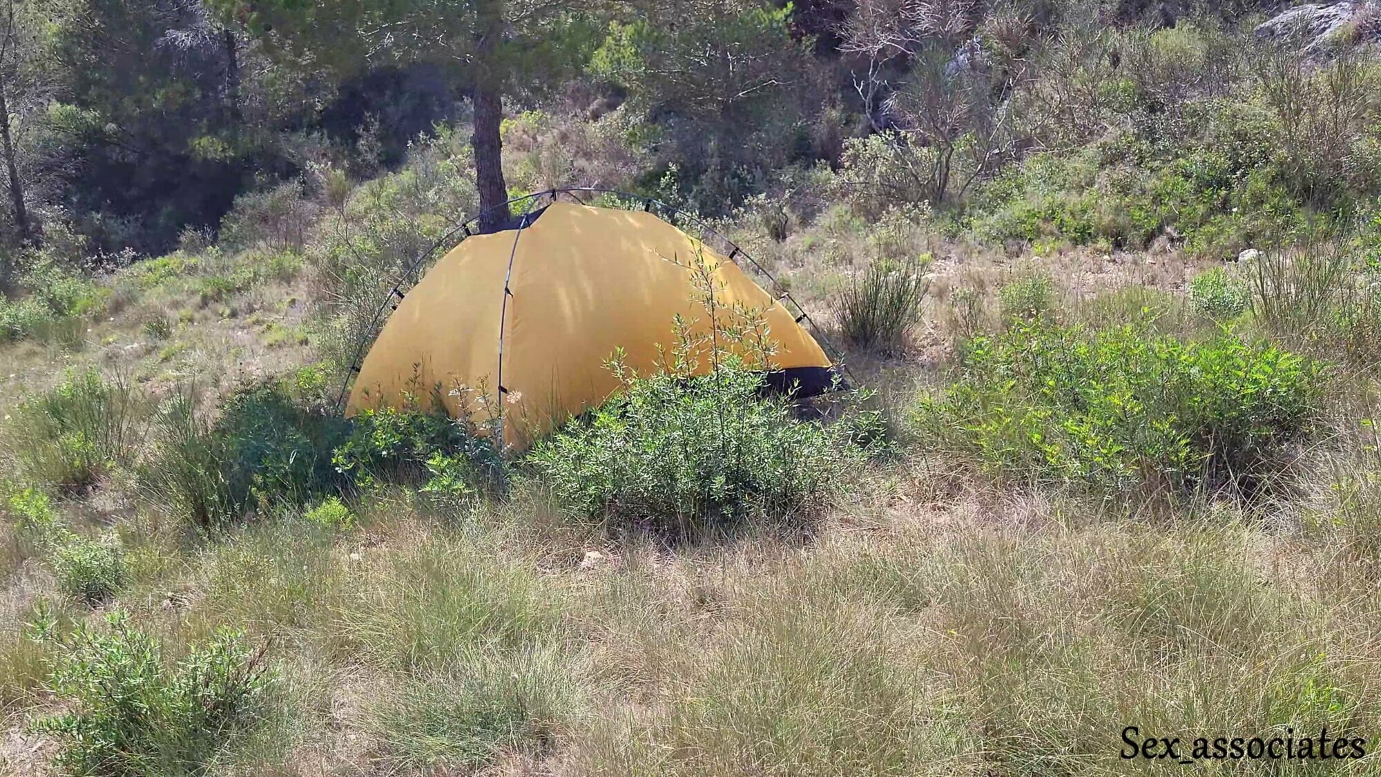 The tourist heard loud moaning and caught couple fucking in the tent. 