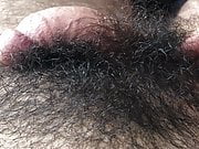 Hairy Cock Waking up