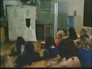 Das voogelnde Klassenzimmer (Love Video) - Bild 2